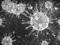 Coronavirus : tous nos articles
